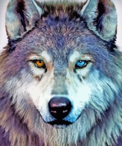 Two Different Color Eyes Wolf paint by numbers