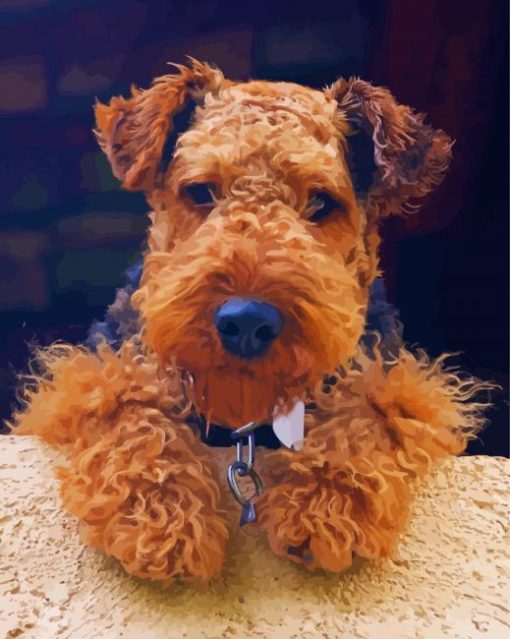 cute Welsh Terrier paint by number