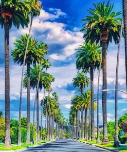 palm trees street Beverly Hills paint by number