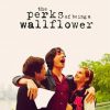 the Perks of being a wallflower paint by numbers