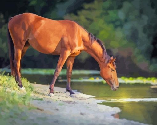 Brown Horse By Water paint by numbers