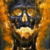 Blazing Skull Art paint by number