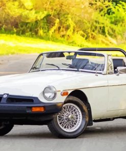 White Mgb Car paint by numbers