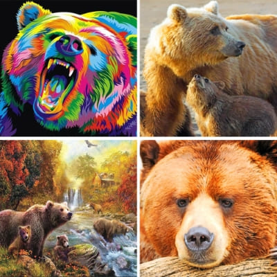 bear paint by numbers