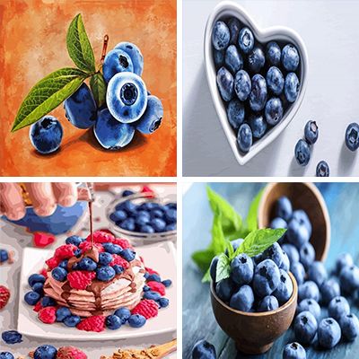 blueberries paint by numbers