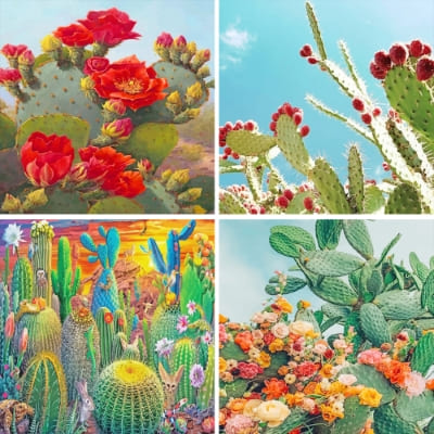 cactus paint by numbers