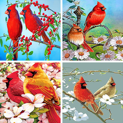 cardinals paint by numbers