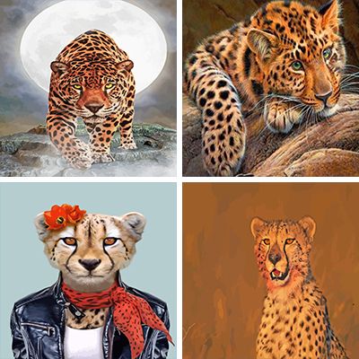 Cheetahs paint by numbers