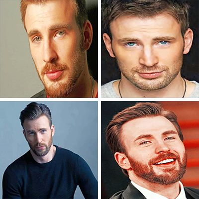 chris evans paint by numbers