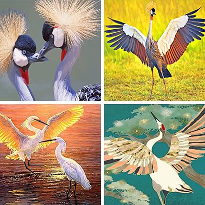 cranes paint by numbers