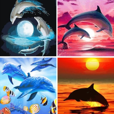 dolphins paint by numbers