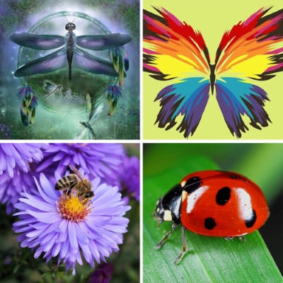 insects paint by numbers