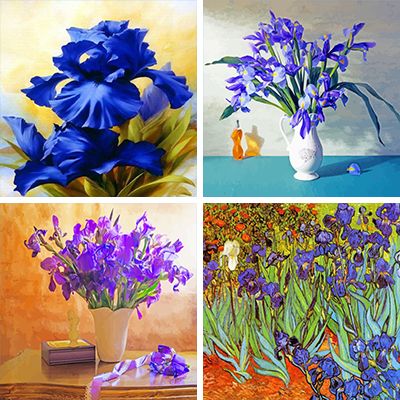 Irises paint by numbers