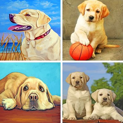 labradors paint by numbers