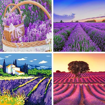lavenders paint by numbers