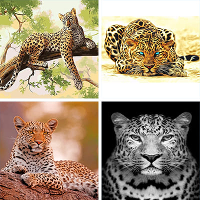 leopards paint by numbers