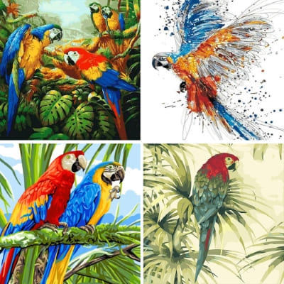 macaws paint by numbers