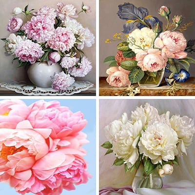 peony paint by numbers