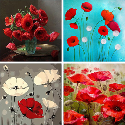 Poppies paint by numbers