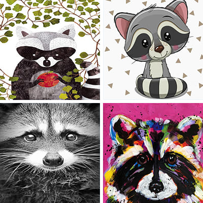 raccoons paint by numbers