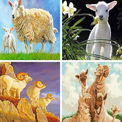 sheep paint by numbers