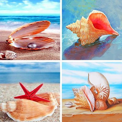 shells paint by numbers