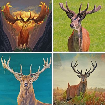 stags paint by numbers