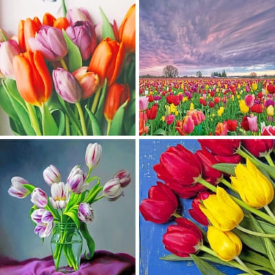 tulips paint by numbers