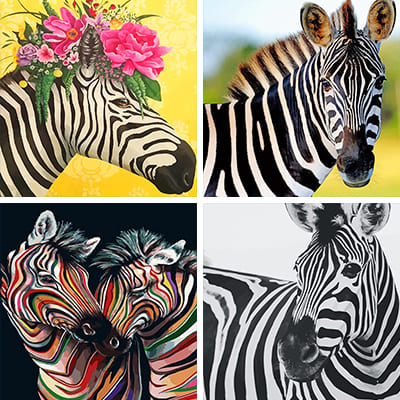 zebras paint by numbers