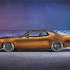 Golden Brown 1971Road Runner paint by numbers
