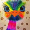 Colorful Emu Bird paint by numbers