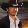 The American Actor Bailey Chase paint by numbers