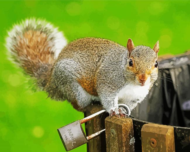 Mischievous Squirrel Animal paint by numbers