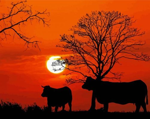 Cows Silhouette paint by numbers