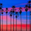 LA Sunset Silhouette paint by numbers