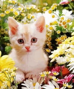 Cute Cat And Flowers paint by numbers