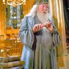 Albus Dumbledore Harry Potter Paint By Numbers