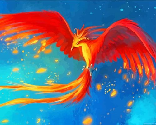 Fawkes Harry Potter  Paint By Numbers