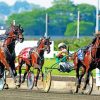 Hambletonian Stakes paint by numbers