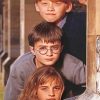 Harry Poetter Hermione And Ron Paint By Numbers