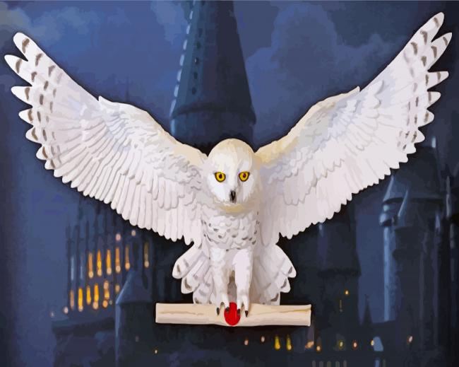 Hedwig Owl Harry Potter Paint By Numbers 