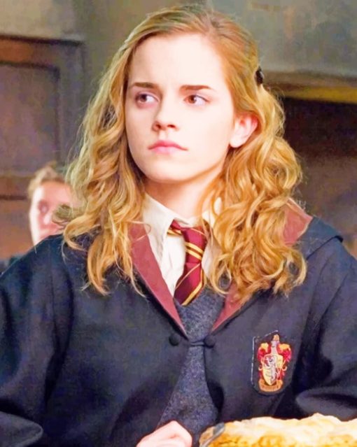 Hermione Granger paint by numbers