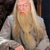 Professor Albus Dumbledore Harry Potter Paint By Numbers