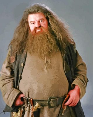 Rubeus Hagrid From Harry Potter Paint By Numbers
