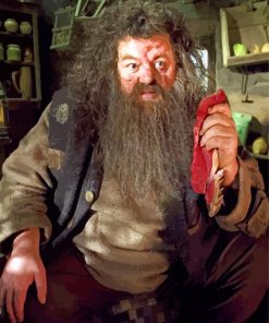 Rubeus Hagrid paint by numbers