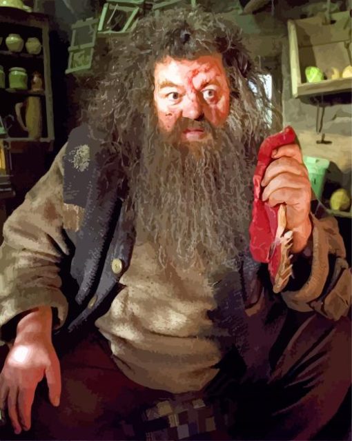 Rubeus Hagrid paint by numbers