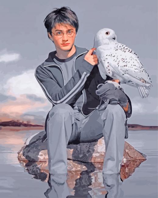Harry Potter And Hedwig Paint By Numbers - Painting By Numbers