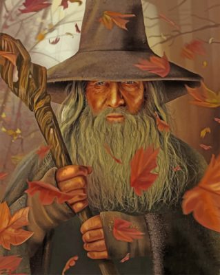 Gandalf Illustration  Paint By Numbers