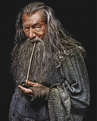 Gandalf Paint By Numbers