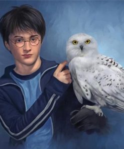 Harry Potter And Companion Hedwig Paint By Numbers